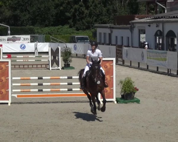 FEI Reitturnier Eschweiler (GER) 2020