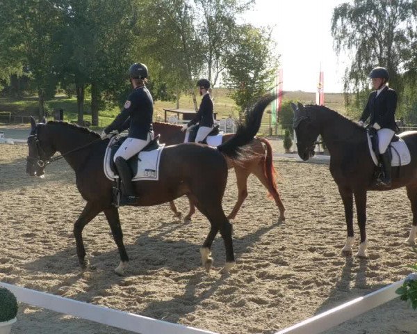 Reitturnier Kierspe-Hohenholten 2020