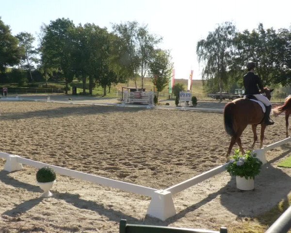 Reitturnier Kierspe-Hohenholten 2020