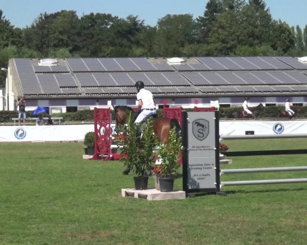 FEI Reitturnier Eschweiler (GER) 2020