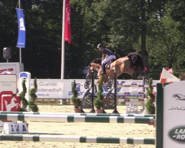 Reitturnier Münster-Handorf 2020