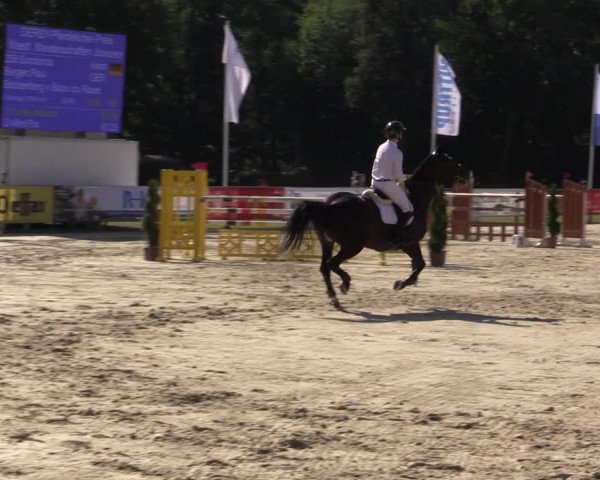 Reitturnier Münster-Handorf 2020
