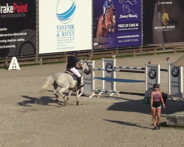 Gold +Cyclus Jonge Paarden in Lier (BEL) 2020