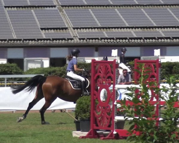 FEI Reitturnier Eschweiler (GER) 2020