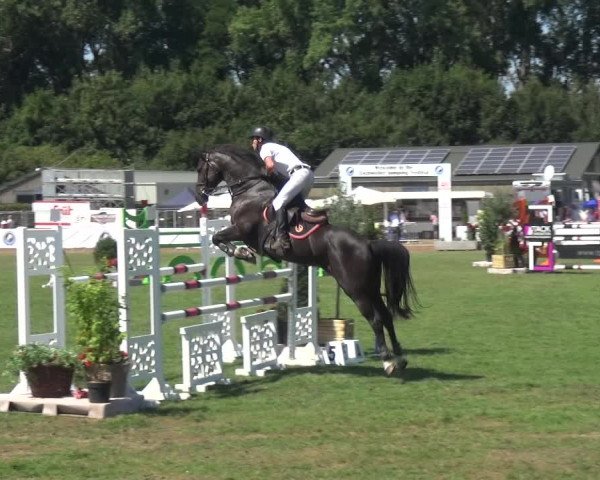 FEI Reitturnier Eschweiler (GER) 2020