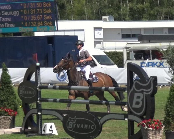 FEI Reitturnier Eschweiler (GER) 2020
