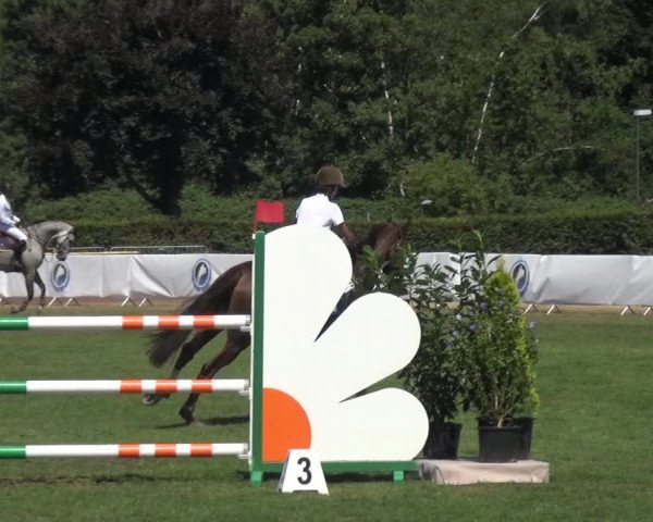 FEI Reitturnier Eschweiler (GER) 2020