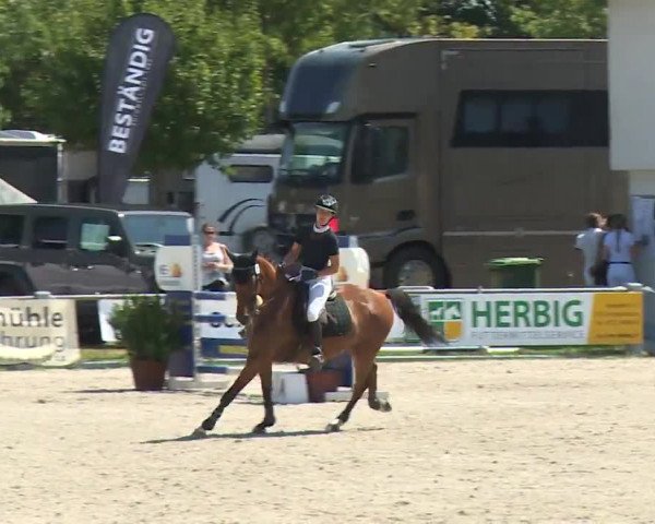 Reitturnier Grafenrheinfeld/Ufr. 2020
