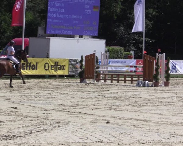 Reitturnier Münster-Handorf 2020
