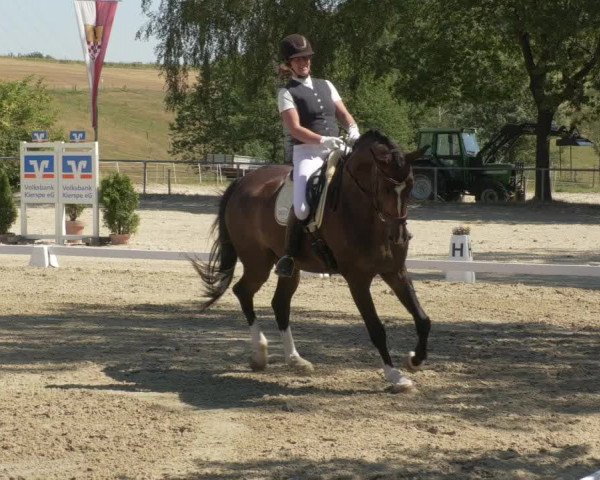 Reitturnier Kierspe-Hohenholten 2020