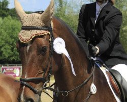 Springpferd Raissa 98 (Hannoveraner, 1997, von Rabino 12)