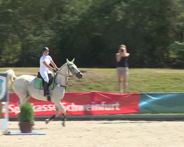 Reitturnier Grafenrheinfeld/Ufr. 2020