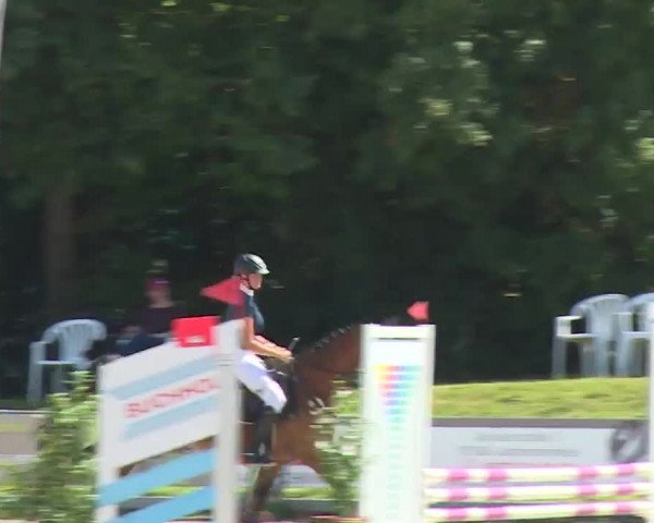 Reitturnier Grafenrheinfeld/Ufr. 2020