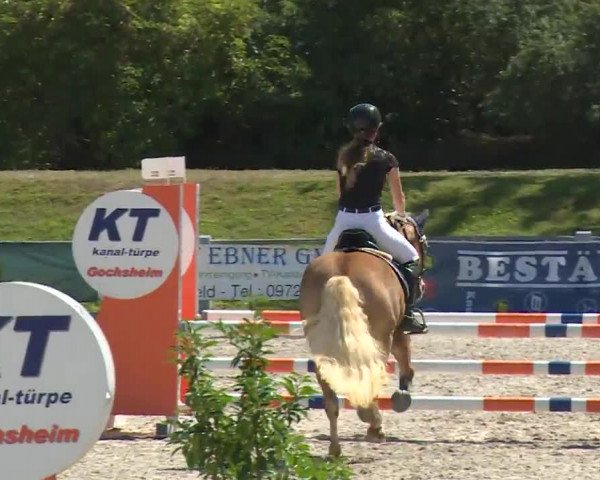Reitturnier Grafenrheinfeld/Ufr. 2020