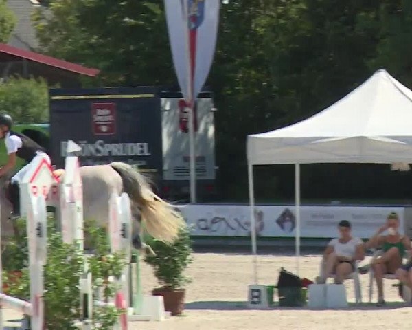 Reitturnier Grafenrheinfeld/Ufr. 2020