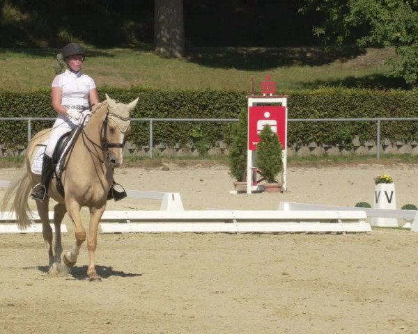 Reitturnier Kierspe-Hohenholten 2020