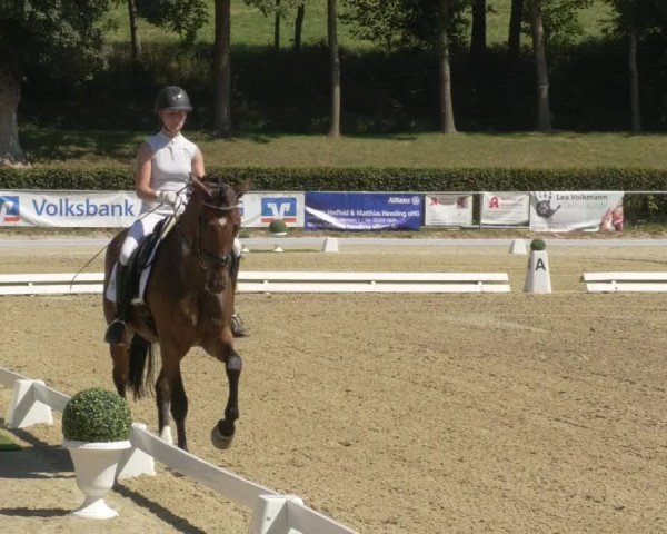 Reitturnier Kierspe-Hohenholten 2020
