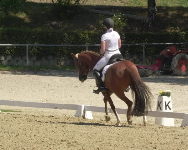 Reitturnier Kierspe-Hohenholten 2020