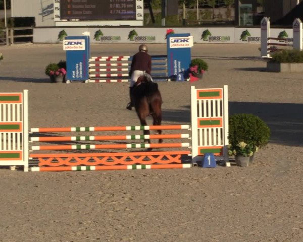 Gold +Cyclus Jonge Paarden in Lier (BEL) 2020