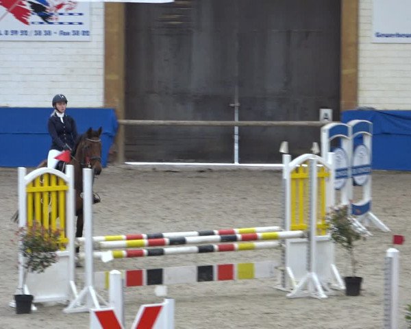 Reitturnier Sögel 2021