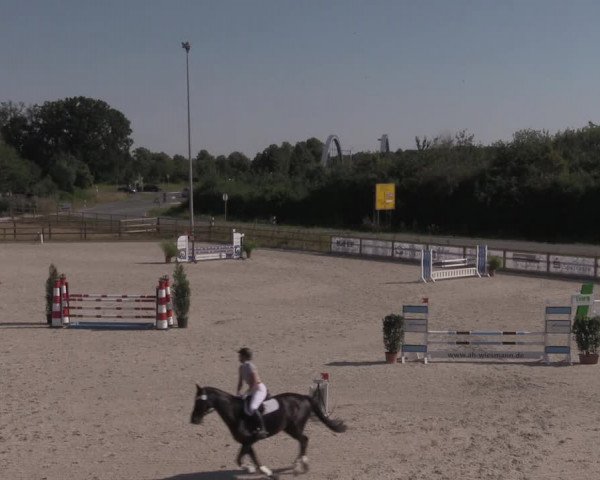 Reitturnier Münster-Amelsbüren 2020