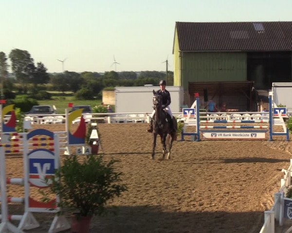 Reitturnier Behrendorf 2020