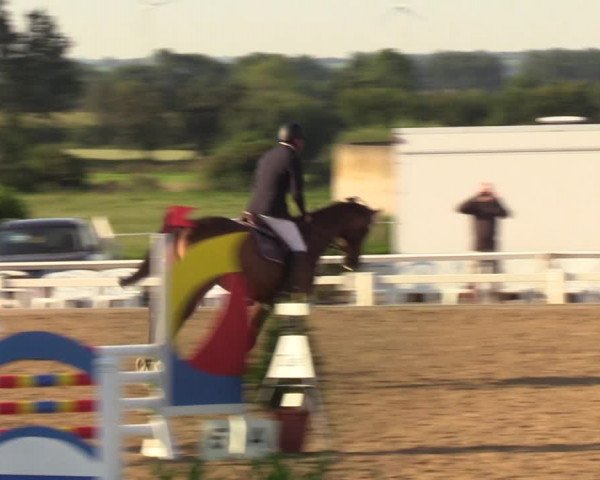 Reitturnier Behrendorf 2020