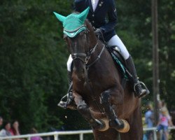 jumper Silas (Holsteiner, 2009, from Singulord Joter)