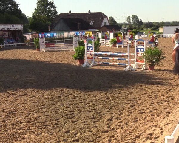 Reitturnier Behrendorf 2020