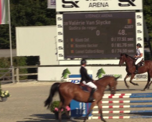 Gold +Cyclus Jonge Paarden in Lier (BEL) 2020