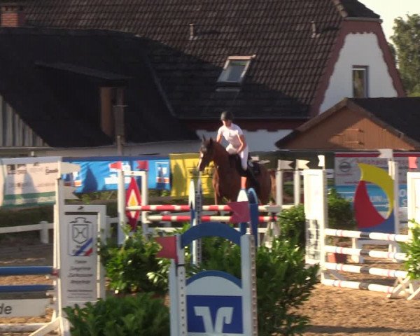 Reitturnier Behrendorf 2020