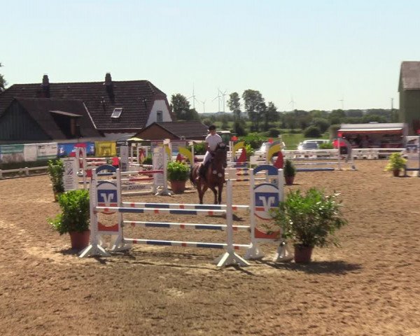 Reitturnier Behrendorf 2020