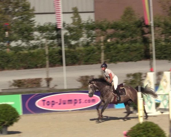 Gold +Cyclus Jonge Paarden in Lier (BEL) 2020