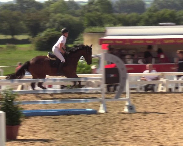 Reitturnier Behrendorf 2020