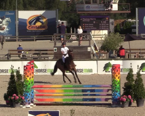 Gold +Cyclus Jonge Paarden in Lier (BEL) 2020