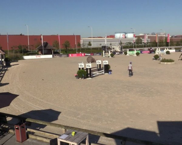 Gold +Cyclus Jonge Paarden in Lier (BEL) 2020