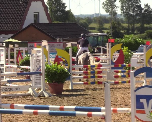 Reitturnier Behrendorf 2020