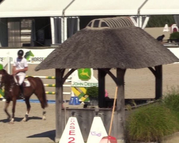 Gold +Cyclus Jonge Paarden in Lier (BEL) 2020