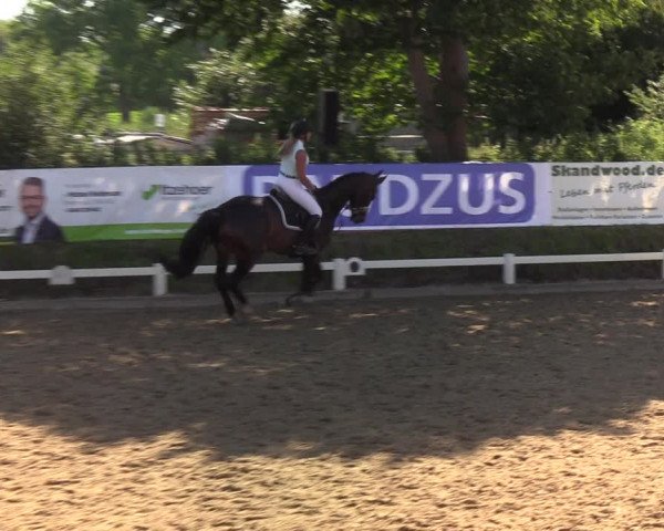 Reitturnier Behrendorf 2020