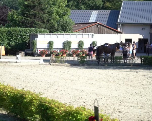 Reitturnier Olfen-Vinnum 2020