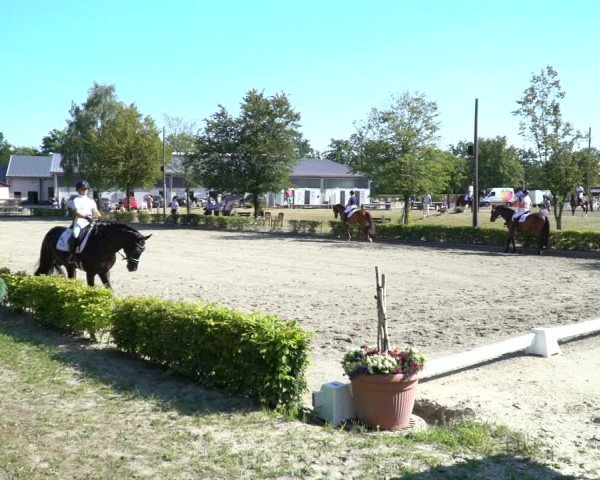Reitturnier Olfen-Vinnum 2020
