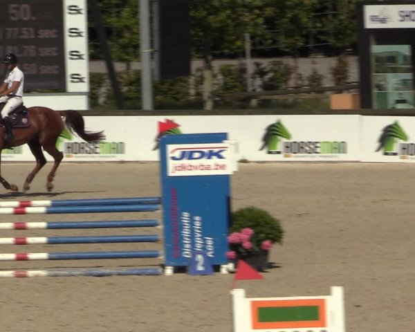 Gold +Cyclus Jonge Paarden in Lier (BEL) 2020