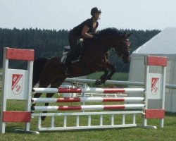 broodmare Marina 260 (KWPN (Royal Dutch Sporthorse), 2004, from Jonkers' Metyo)