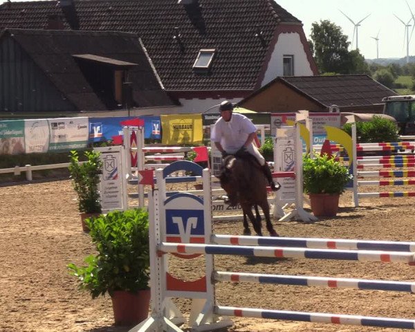 Reitturnier Behrendorf 2020
