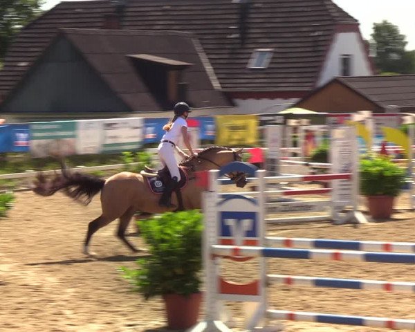 Reitturnier Behrendorf 2020