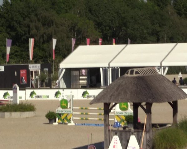 Gold +Cyclus Jonge Paarden in Lier (BEL) 2020