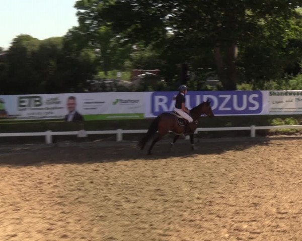Reitturnier Behrendorf 2020
