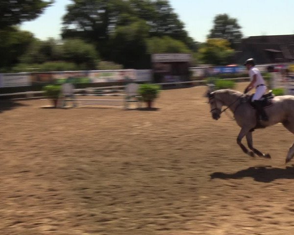 Reitturnier Behrendorf 2020