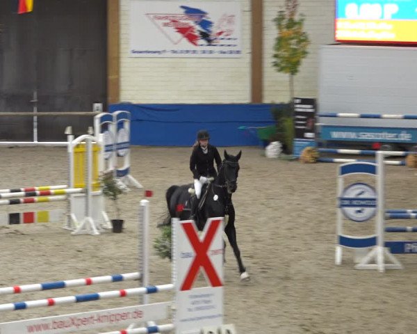 Reitturnier Sögel 2021