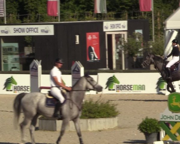 Gold +Cyclus Jonge Paarden in Lier (BEL) 2020